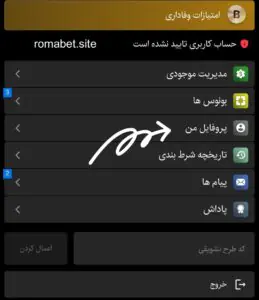 آموزش احراز هویت و تایید حساب کاربری در سایت رومابت 2 پروفایل من سایت رومابت